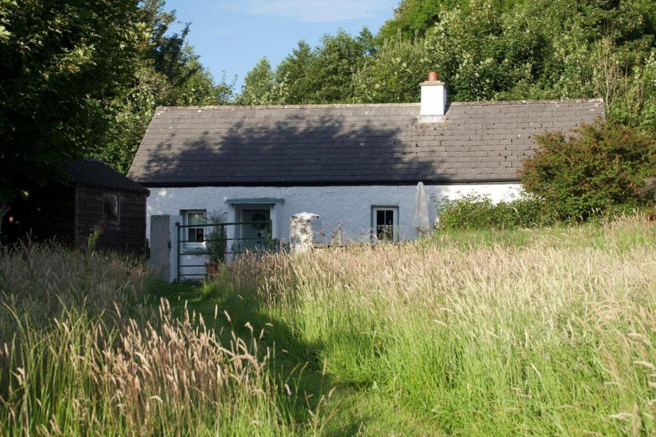 Clover Cottage Sligo Ngoại thất bức ảnh