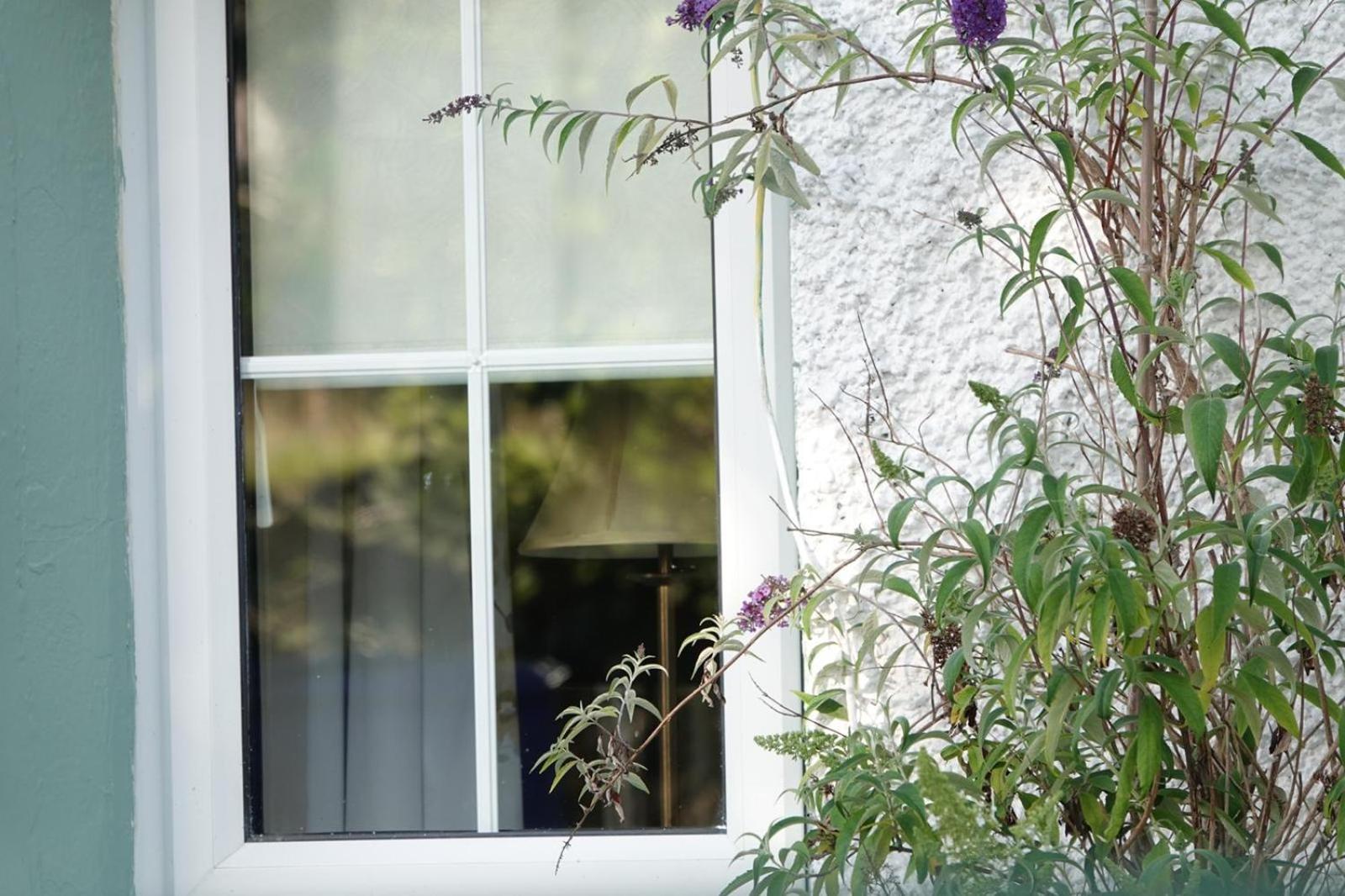 Clover Cottage Sligo Ngoại thất bức ảnh
